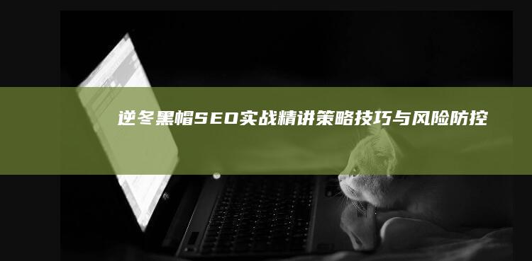 逆冬黑帽SEO实战精讲：策略、技巧与风险防控培训